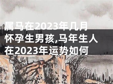 属马在2023年几月怀孕生男孩,马年生人在2023年运势如何