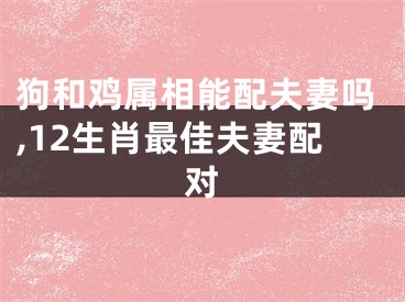 狗和鸡属相能配夫妻吗,12生肖最佳夫妻配对