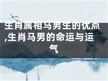 生肖属相马男生的优点,生肖马男的命运与运气