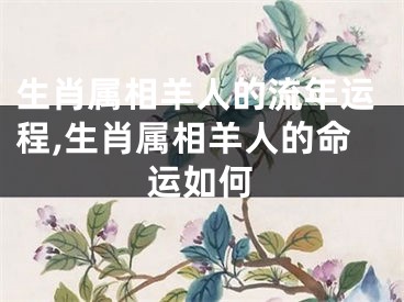 生肖属相羊人的流年运程,生肖属相羊人的命运如何