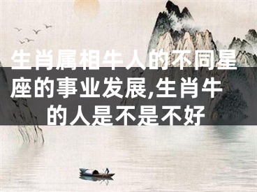 生肖属相牛人的不同星座的事业发展,生肖牛的人是不是不好