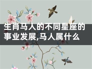 生肖马人的不同星座的事业发展,马人属什么