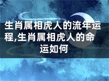 生肖属相虎人的流年运程,生肖属相虎人的命运如何