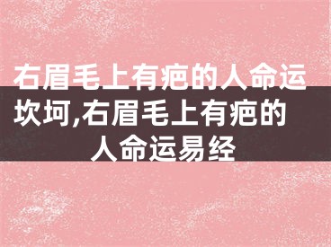 右眉毛上有疤的人命运坎坷,右眉毛上有疤的人命运易经