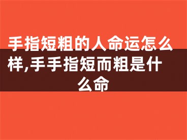 手指短粗的人命运怎么样,手手指短而粗是什么命