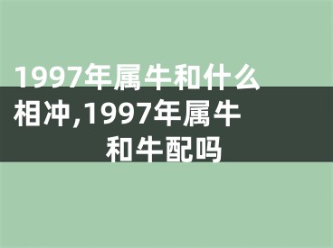 1997年属牛和什么相冲,1997年属牛和牛配吗