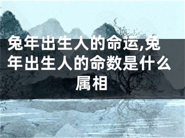 兔年出生人的命运,兔年出生人的命数是什么属相