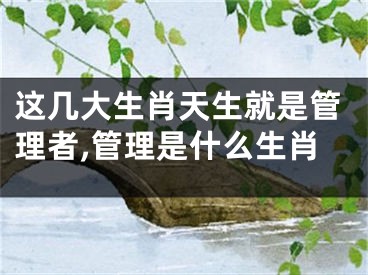 这几大生肖天生就是管理者,管理是什么生肖