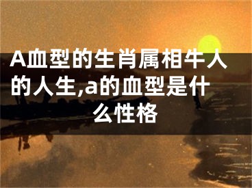 A血型的生肖属相牛人的人生,a的血型是什么性格