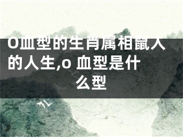 O血型的生肖属相鼠人的人生,o 血型是什么型