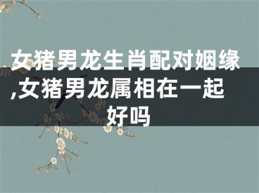 女猪男龙生肖配对姻缘,女猪男龙属相在一起好吗