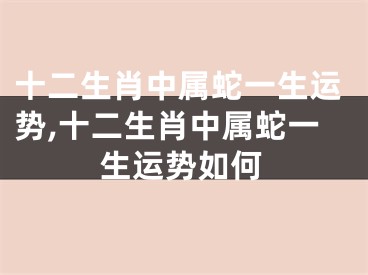 十二生肖中属蛇一生运势,十二生肖中属蛇一生运势如何