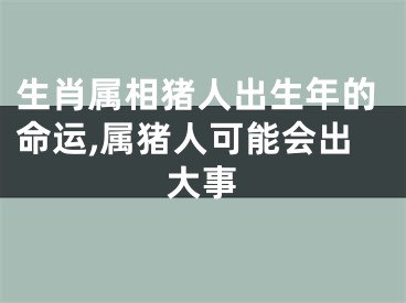 生肖属相猪人出生年的命运,属猪人可能会出大事