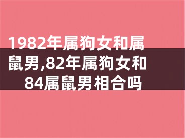 1982年属狗女和属鼠男,82年属狗女和84属鼠男相合吗