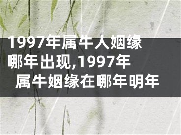 1997年属牛人姻缘哪年出现,1997年属牛姻缘在哪年明年