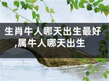 生肖牛人哪天出生最好,属牛人哪天出生