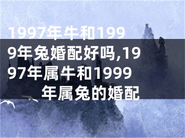 1997年牛和1999年兔婚配好吗,1997年属牛和1999年属兔的婚配