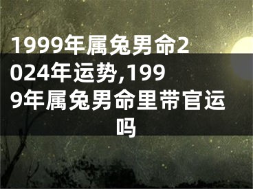 1999年属兔男命2024年运势,1999年属兔男命里带官运吗