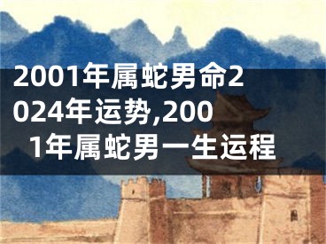 2001年属蛇男命2024年运势,2001年属蛇男一生运程