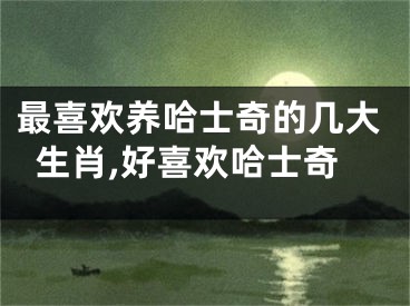 最喜欢养哈士奇的几大生肖,好喜欢哈士奇