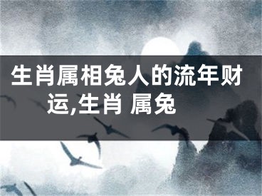 生肖属相兔人的流年财运,生肖 属兔