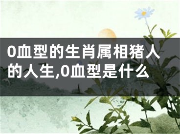 0血型的生肖属相猪人的人生,0血型是什么