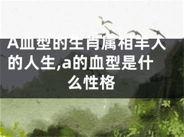 A血型的生肖属相羊人的人生,a的血型是什么性格