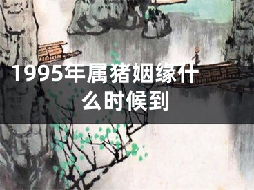 1995年属猪姻缘什么时候到