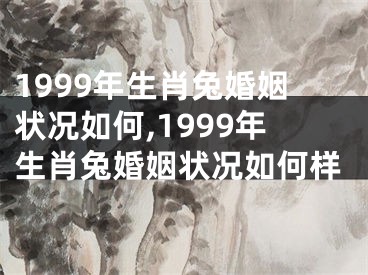 1999年生肖兔婚姻状况如何,1999年生肖兔婚姻状况如何样