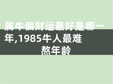 属牛偏财运最好是哪一年,1985牛人最难熬年龄