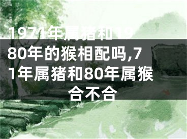 1971年属猪和1980年的猴相配吗,71年属猪和80年属猴合不合