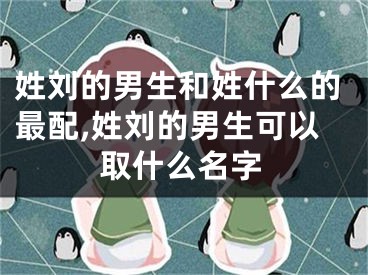 姓刘的男生和姓什么的最配,姓刘的男生可以取什么名字