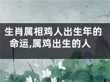 生肖属相鸡人出生年的命运,属鸡出生的人