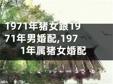 1971年猪女跟1971年男婚配,1971年属猪女婚配