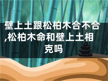 壁上土跟松柏木合不合,松柏木命和壁上土相克吗