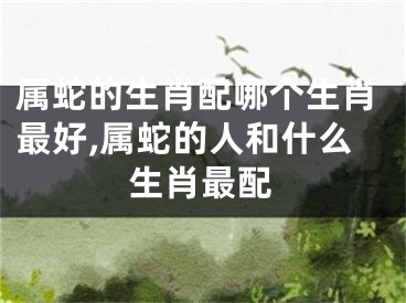 属蛇的生肖配哪个生肖最好,属蛇的人和什么生肖最配