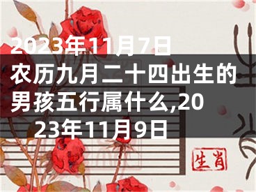 2023年11月7日农历九月二十四出生的男孩五行属什么,2023年11月9日