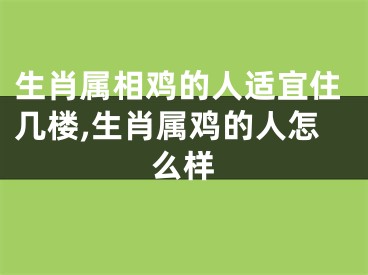 生肖属相鸡的人适宜住几楼,生肖属鸡的人怎么样