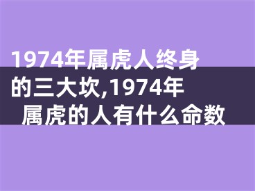 1974年属虎人终身的三大坎,1974年属虎的人有什么命数