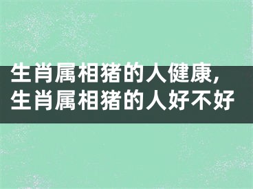 生肖属相猪的人健康,生肖属相猪的人好不好