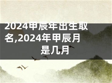 2024甲辰年出生取名,2024年甲辰月是几月