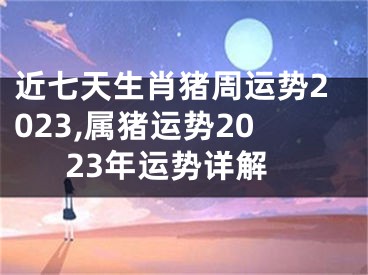 近七天生肖猪周运势2023,属猪运势2023年运势详解