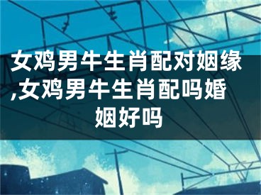 女鸡男牛生肖配对姻缘,女鸡男牛生肖配吗婚姻好吗