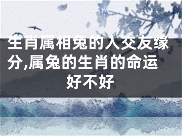 生肖属相兔的人交友缘分,属兔的生肖的命运好不好