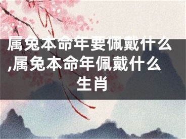 属兔本命年要佩戴什么,属兔本命年佩戴什么生肖