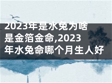 2023年是水兔为啥是金箔金命,2023年水兔命哪个月生人好