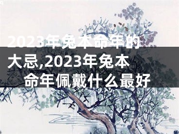 2023年兔本命年的大忌,2023年兔本命年佩戴什么最好