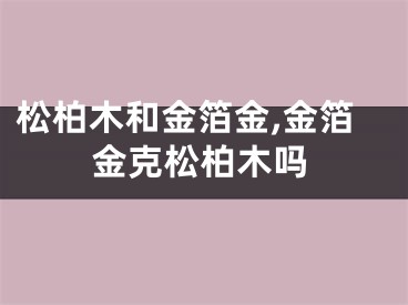 松柏木和金箔金,金箔金克松柏木吗