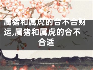 属猪和属虎的合不合财运,属猪和属虎的合不合适