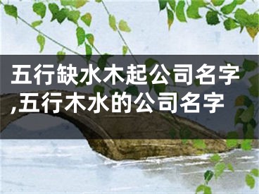 五行缺水木起公司名字,五行木水的公司名字